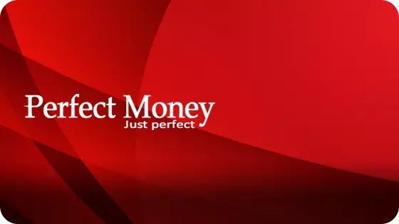 Perfect Money Work